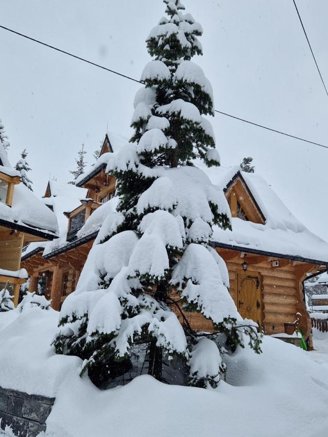 Przytulny Domek I Zakopane Esterno foto